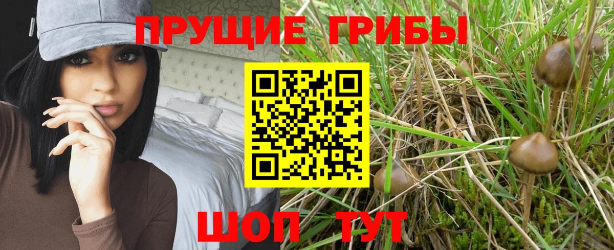 Псилоцибиновые грибы ЛСД  Галлюциногенные грибы Cubensis  купить закладку  Вход с VPN  Белореченск 